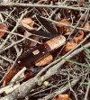 IMG_6186.jpeg