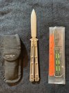 BM 51 Morpho - 1.JPG