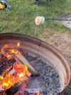 IMG_4564.jpeg