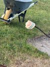 IMG_4565.jpeg