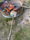 IMG_4563.jpeg