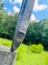 IMG_8766.jpeg