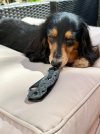 IMG_1349.jpeg