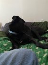 IMG_8346.jpeg
