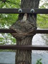 IMG_8676.jpeg