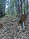IMG_1291.jpeg