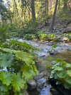 IMG_1327.jpeg