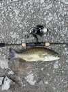 IMG_0245.jpeg