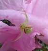 IMG_20250702_201158679~2.jpg