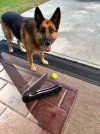 IMG_1389.jpeg