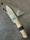 Ursus Cub 4.jpg