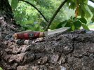 Rosewood301 32.JPG