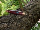 Rosewood301 33.JPG