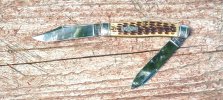 KIMG2174~2.JPG