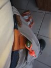 IMG_20250705_163116058.jpg