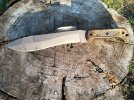 ImageUploadedByTapatalk1409968693.611200.jpg