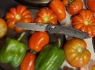 IMG_6866.jpeg