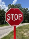 IMG_3532.jpeg