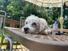 IMG_7625.jpeg