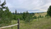 IMG_7571.jpeg