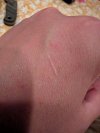 PXL_20250707_060420124.jpg