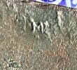 IMG_5134.jpeg