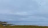 IMG_1147.jpeg