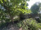 IMG_8935.jpeg