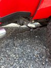 IMG_2266.jpeg