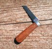 KIMG2316~2.JPG