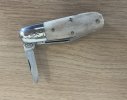 gec bullet 4.jpeg