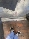 IMG_3720.jpeg