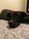 IMG_8561.jpeg