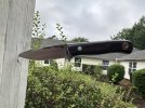 IMG_3754.jpeg