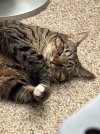 IMG_1582.jpeg
