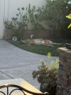 IMG_1152.jpeg
