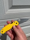 IMG_1203.jpeg