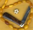 Amber Iron 1.jpg