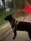 IMG_8615.jpeg