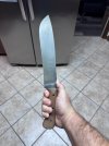 IMG_7024.jpeg