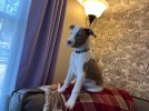 IMG_4413.jpeg