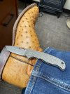 IMG_1918.jpeg