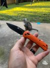 IMG_2078.jpeg