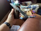 IMG_1374.jpeg