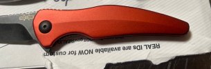 IMG_2320.jpeg