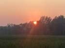 IMG_4754.jpeg