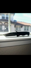 IMG_8139.png