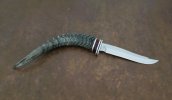 105_D2_ImpalaHorn.jpg