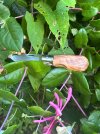 IMG_3406.jpeg