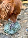 IMG_1670.jpeg